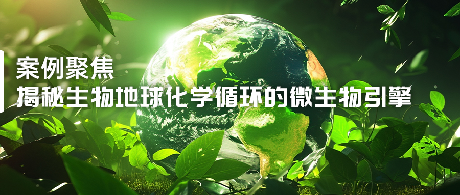 揭秘生物地球化學循環的微生物引擎-(1).jpg