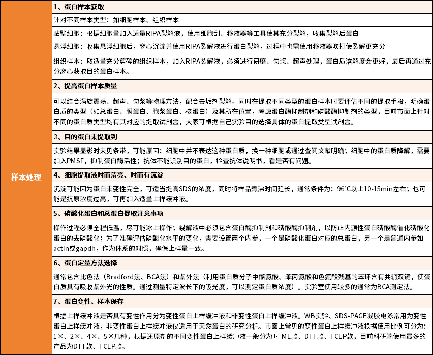 圖片10.png