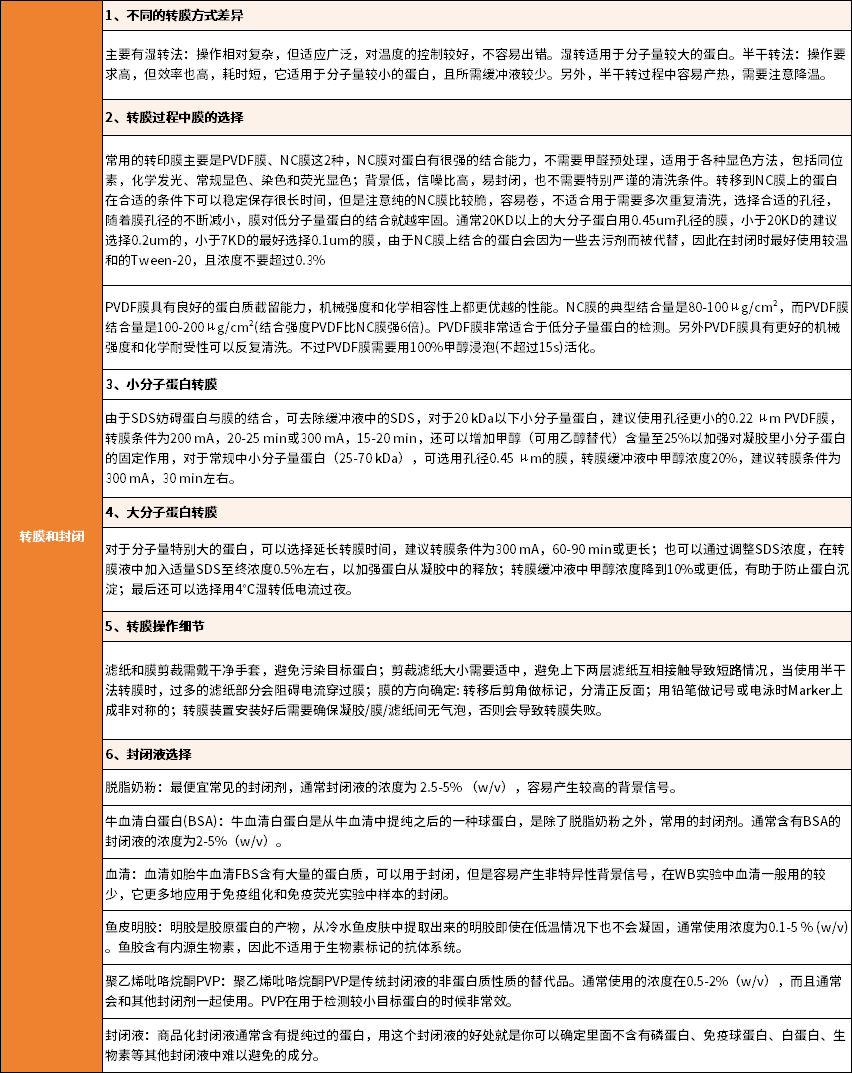 圖片12.png
